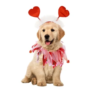 Valentine’s Day Dog Decoration Set – Wholesale Pet Neckbands & Headbands for Retailers
