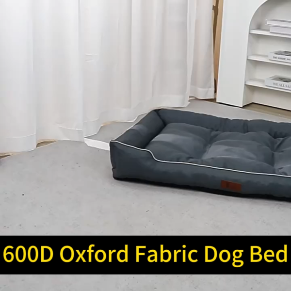 10001 10001