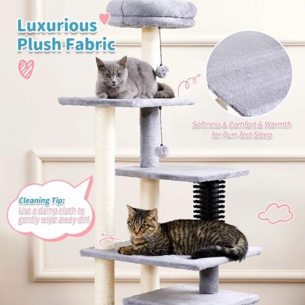10001_0 Cat playing and resting on multi-level cat tree tower with condo and platforms
