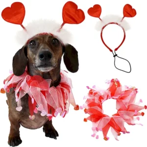 Dogs wearing Valentine’s Day neckbands and headbands, showcasing the festive decorations