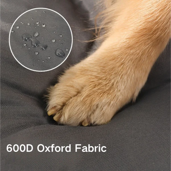 10002 10002
