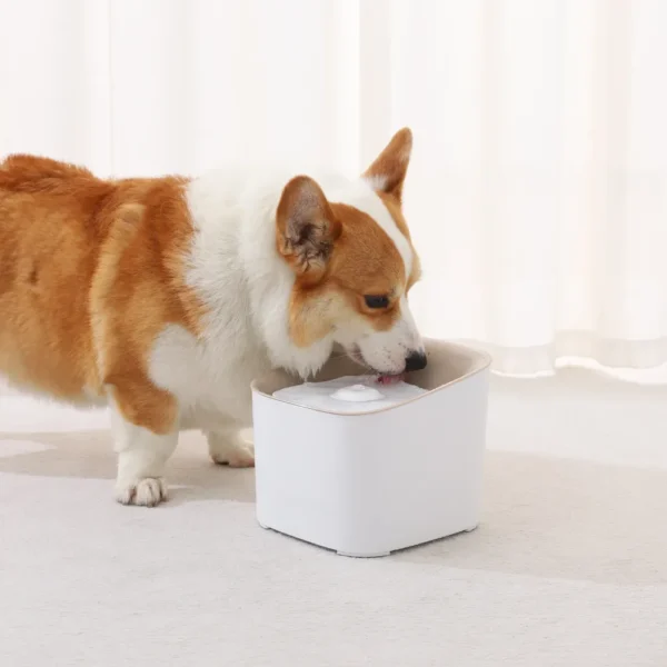 10002 Cat and dog drinking from smart automatic water fountain at hom