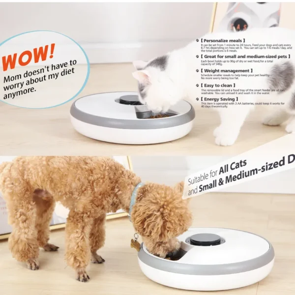10003 Cat and dog eating from smart automatic pet feeder in modern home setting