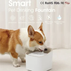 Cat and dog drinking from smart automatic water fountain at hom