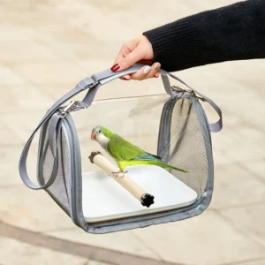 Parrot sitting inside foldable bird travel carrier used for outdoor transport