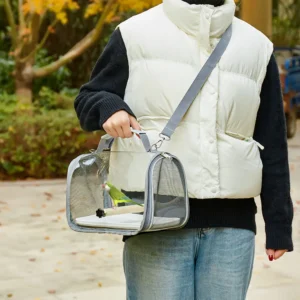 Parrot sitting inside foldable bird travel carrier used for outdoor transport