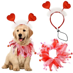 10008 Close-up of Valentine’s Day-themed dog neckbands and headbands with cute heart designs
