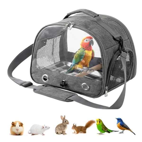 10012 Parrot sitting inside foldable bird travel carrier used for outdoor transport