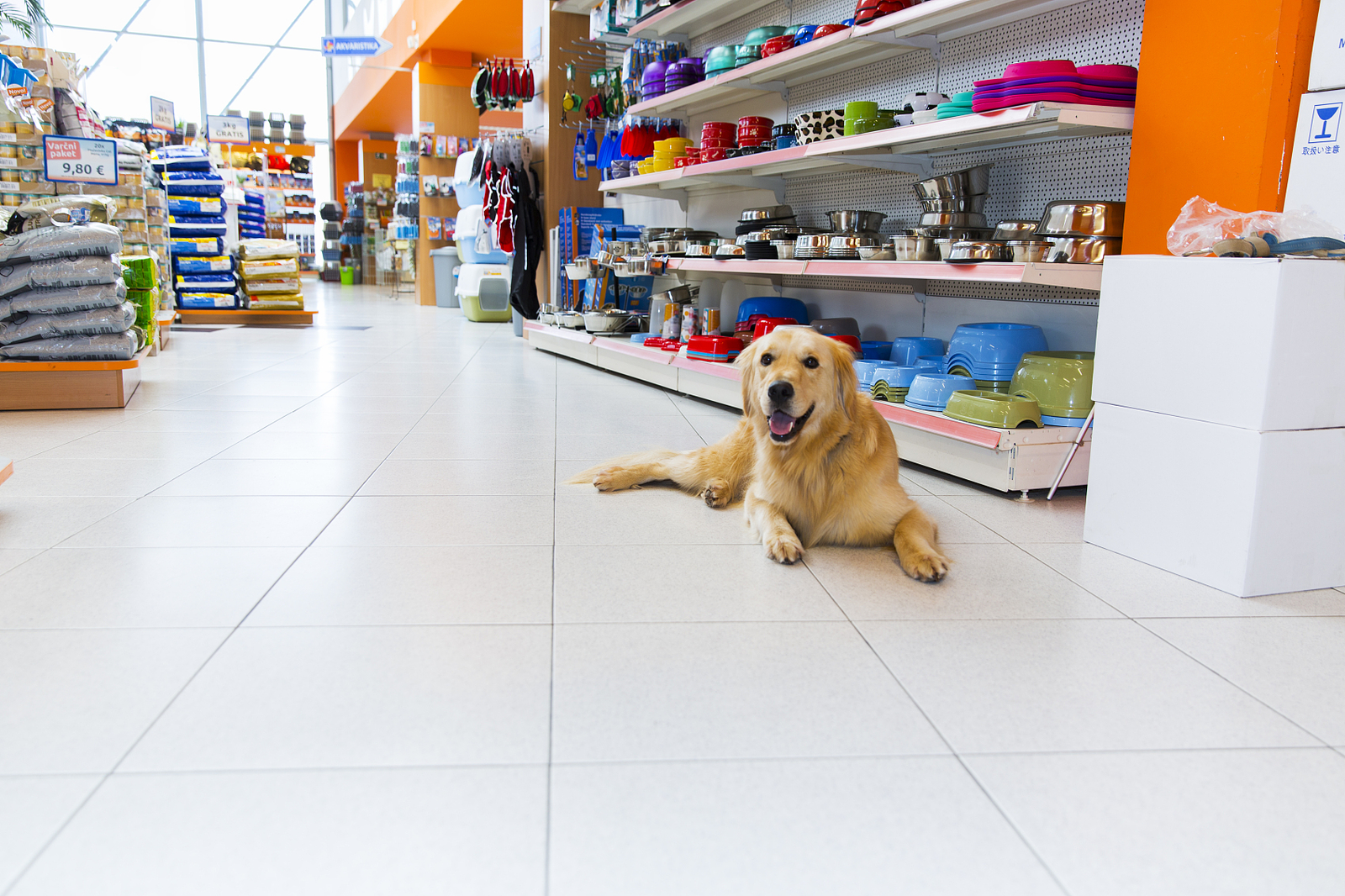 Pet Store Customer Service: 2026 Guide | JustForPetStore