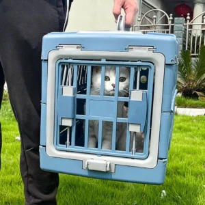 Cat resting inside hard-sided pet carrier crate in a grooming shop setting