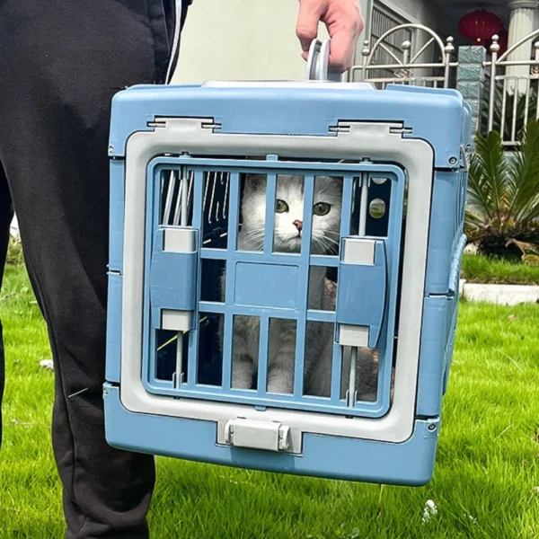 10001 Cat resting inside hard-sided pet carrier crate in a grooming shop setting