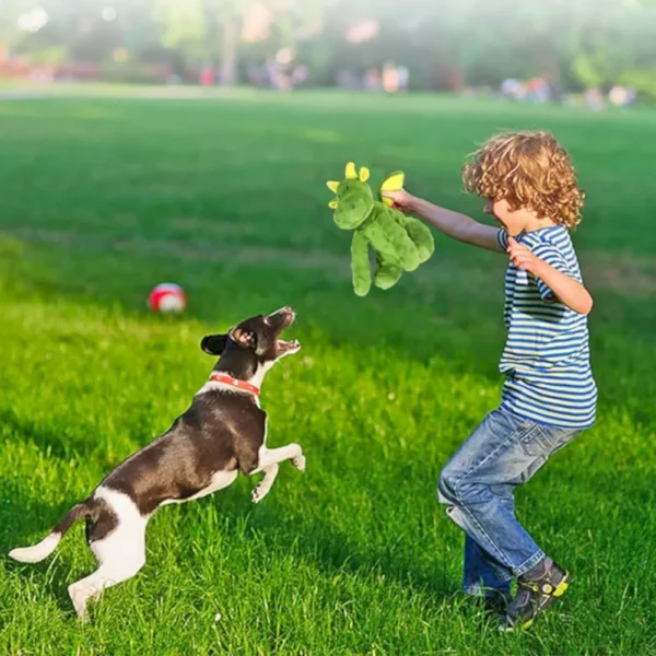 10001 Dog playing with durable plush squeaky toy at outside