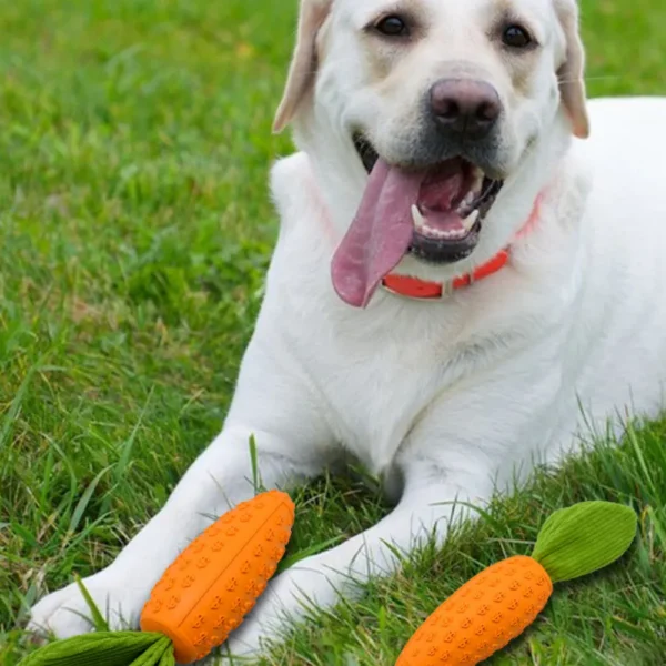 10001 Close-up of textured rubber surface for dog teeth cleaning