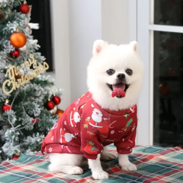 10001 Large dog wearing Christmas fleece sweatshirt in cozy holiday home setting – ideal for festive pet displays