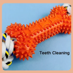 Durable dog chew toy combining TPR and cotton rope for chewing and dental health