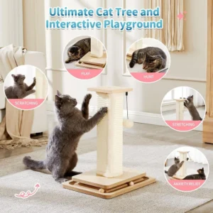 Happy cat resting on plush platform of scratching post in living room