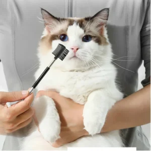 Dog grooming session with tear stain remover comb in pet salon
