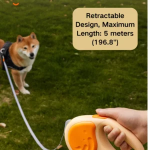 Small dog controlled by heavy-duty retractable leash outdoors