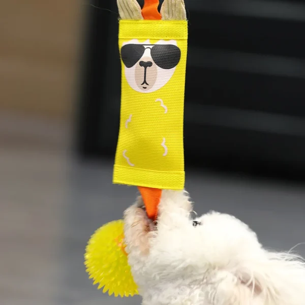 10002 Interactive dog tug toy with squeaker for chewing, playing, and teeth cleaning