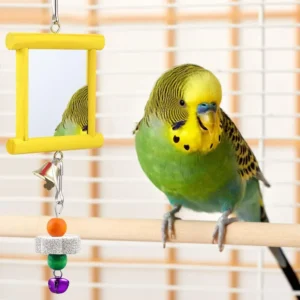 4-Pack Acrylic Parrot Toys with Mirror & Beak Grinding Accessories – Colorful Bird Cage Toys for Parrots and Cockatiels