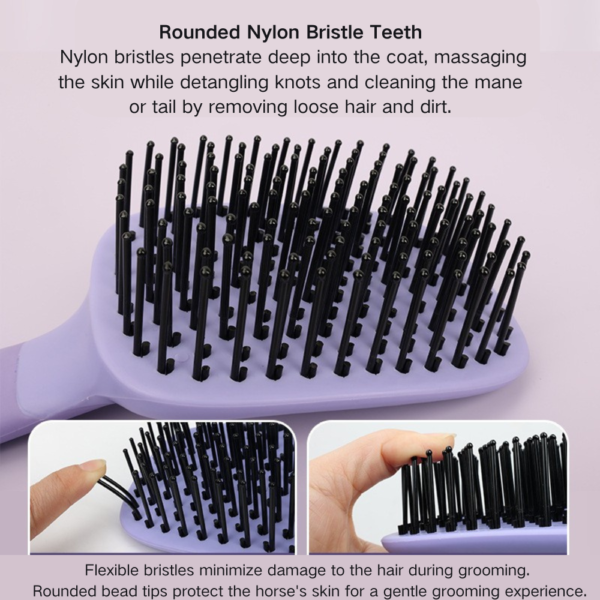 10002 Close-up of bristles and ergonomic handle on horse grooming cleaning and washing brush