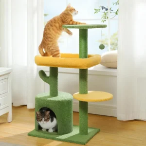 Kitten playing on cactus cat climbing tree in home setting – cozy and fun cat furniture