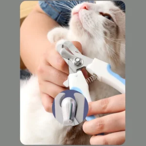 Pet owner trimming dog’s nails using ergonomic nail clippers – ideal for grooming salons and retail use