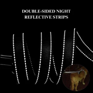 10002 Durable reflective leash showing night visibility, designed for large and medium dogs
