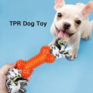 Dog playing outdoors with bone-shaped rope and TPR chew toy, wholesale supply for pet stores