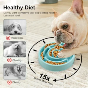 Close-up of puzzle maze design slow feeding pet bowl with non-slip base