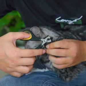 Pet owner using stainless steel cat nail clippers on a cat at home