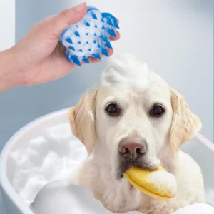 Pet owner grooming a dog with flower-shaped silicone pet brush