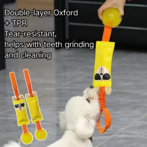 Dog playing tug-of-war with squeaky Oxford TPR toy outdoors with owner