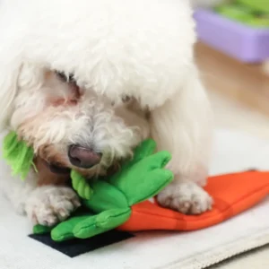 Dog Playing Tug-of-War with Cotton Rope Crinkle Toy