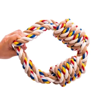 10003 Pet owner tugging with medium dog using cotton rope toy