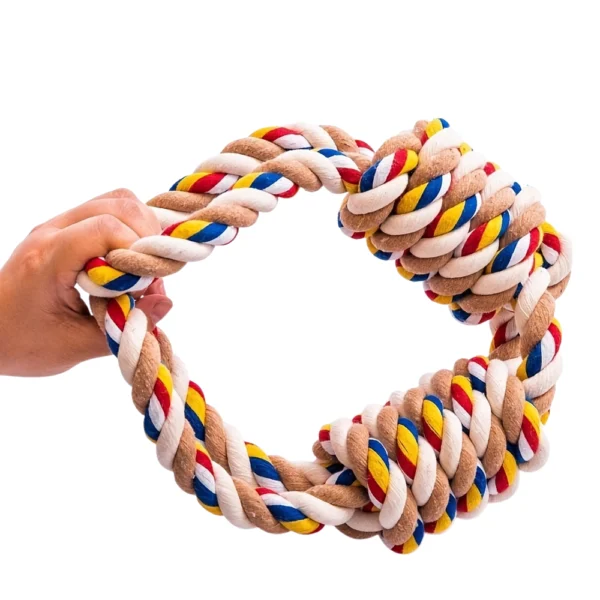 10003 Pet owner tugging with medium dog using cotton rope toy
