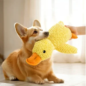 Dog playing with Calming Duck Plush Toy with Quacking Sound – Perfect for chewing and calming