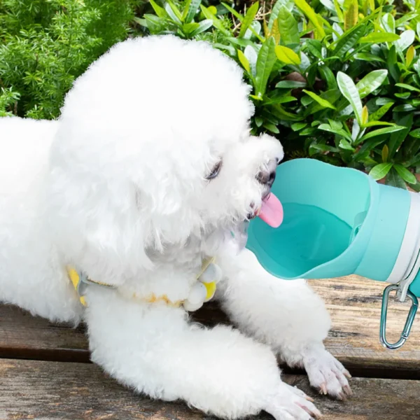 10003 Demonstration of collapsible silicone pet water bottle in use for dog hydration during travel