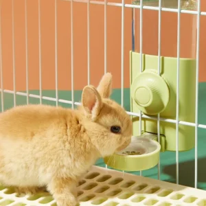 Demonstration of hanging water bottle showing no-drip round head and secure cage attachment