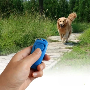 Pet owner using 2-in-1 dog whistle and clicker during outdoor training, wholesale supply