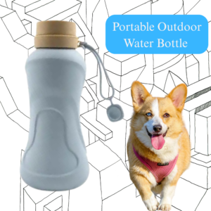 Pet owner using foldable silicone pet water bottle while walking dog outdoors