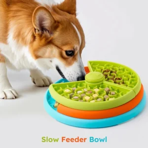 Cat interacting with three-layer IQ feeder bowl to access food