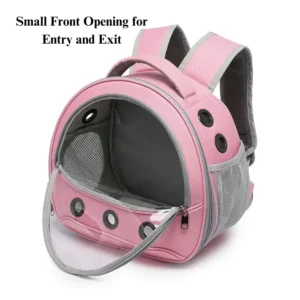 Pet owner carrying transparent backpack with rabbit outdoors
