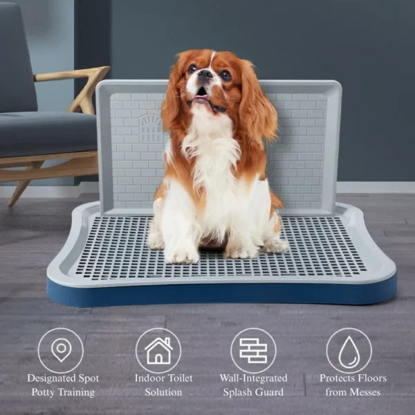 10004 Dog Using Large Indoor Potty Tray with Wall Guard