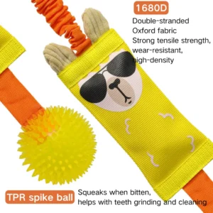Close-up of Oxford fabric and TPR material on durable tug-of-war squeaky dog toy