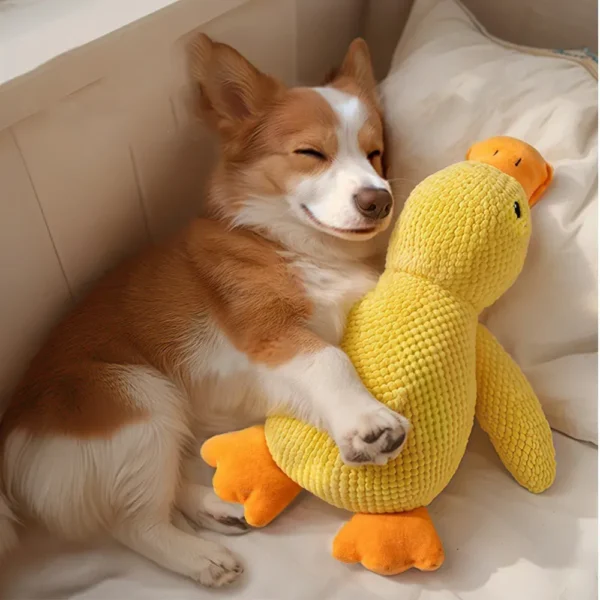 10004 Dog playing with Calming Duck Plush Toy with Quacking Sound – Perfect for chewing and calming