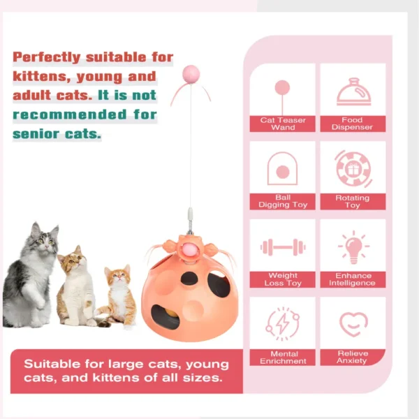 10004 Dimensions of Interactive Cat Ball Track Toy with Teaser Wand – Wholesale Pet Product