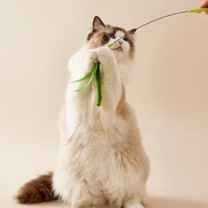 Cat Playing with Flexible Grass Tail Teaser Toy in Home Setting