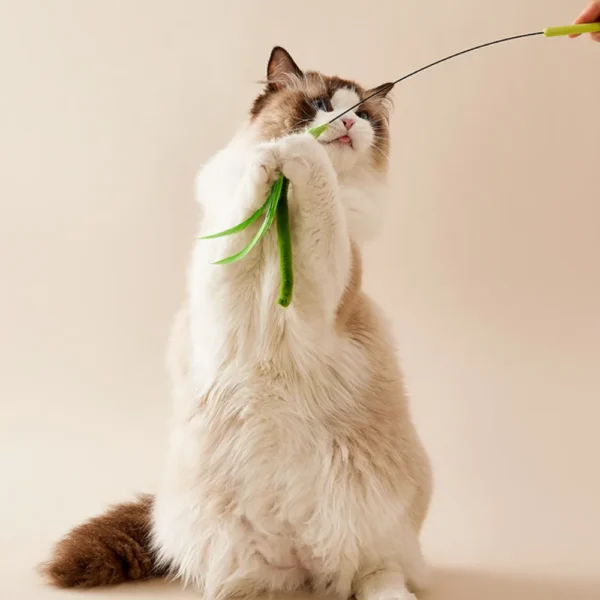10004 Cat Playing with Flexible Grass Tail Teaser Toy in Home Setting