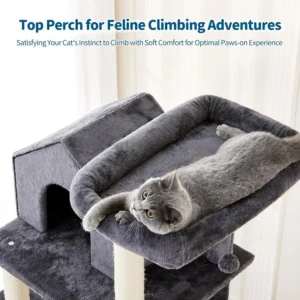 10004 Happy cat resting on multiple platforms of activity tree at home